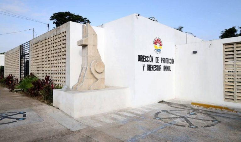 WhatsApp Image 2026-01-09 at 5.31.03 PM(1)