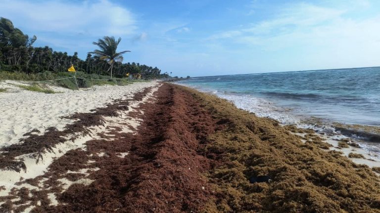 WhatsApp Image 2026-01-12 at 6.25.29 PM(1)