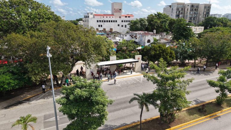 WhatsApp Image 2026-01-13 at 5.06.59 PM