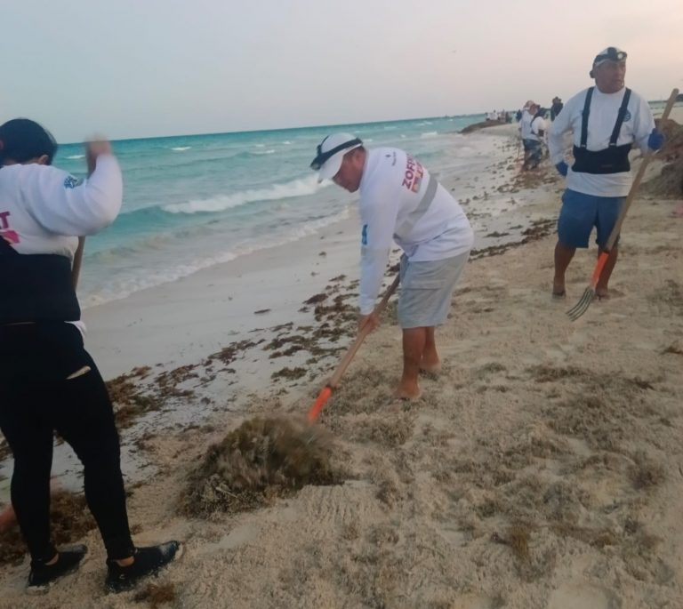 WhatsApp Image 2026-01-14 at 1.46.52 PM