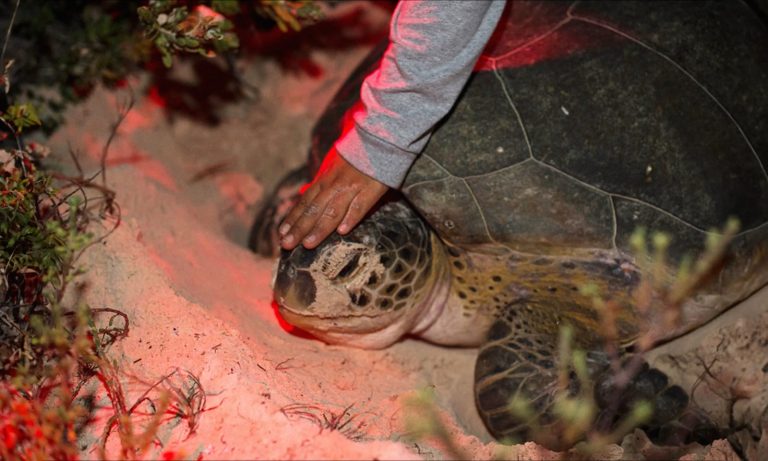 WhatsApp Image 2026-01-14 at 2.07.10 PM