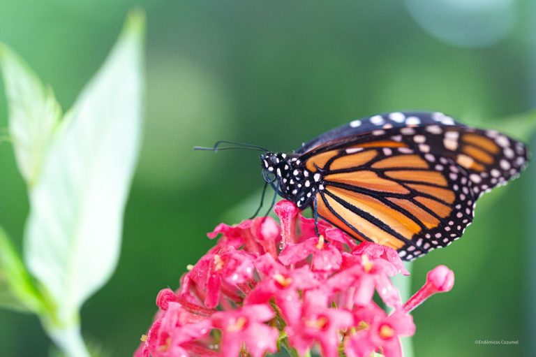 WhatsApp Image 2026-01-20 at 4.43.14 PM