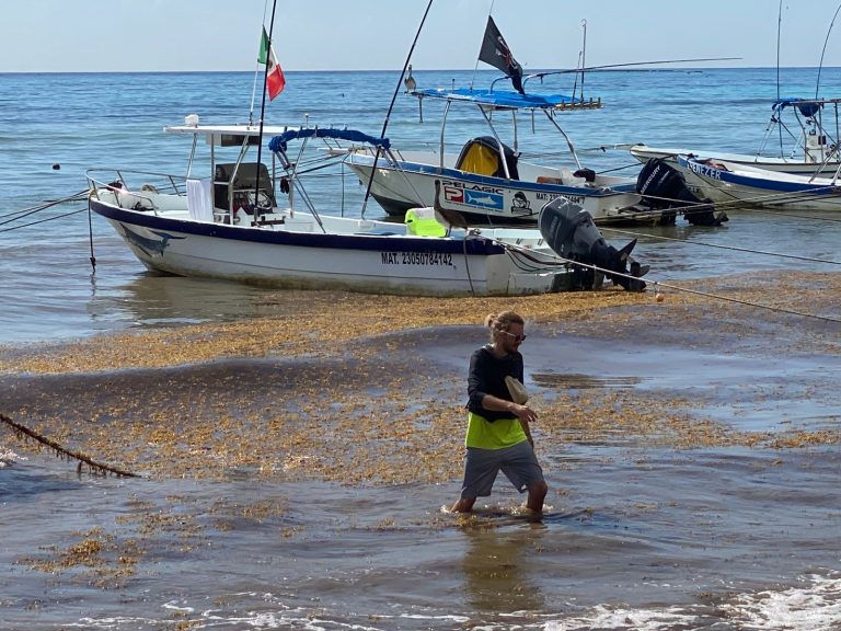 WhatsApp Image 2026-01-26 at 1.25.27 PM