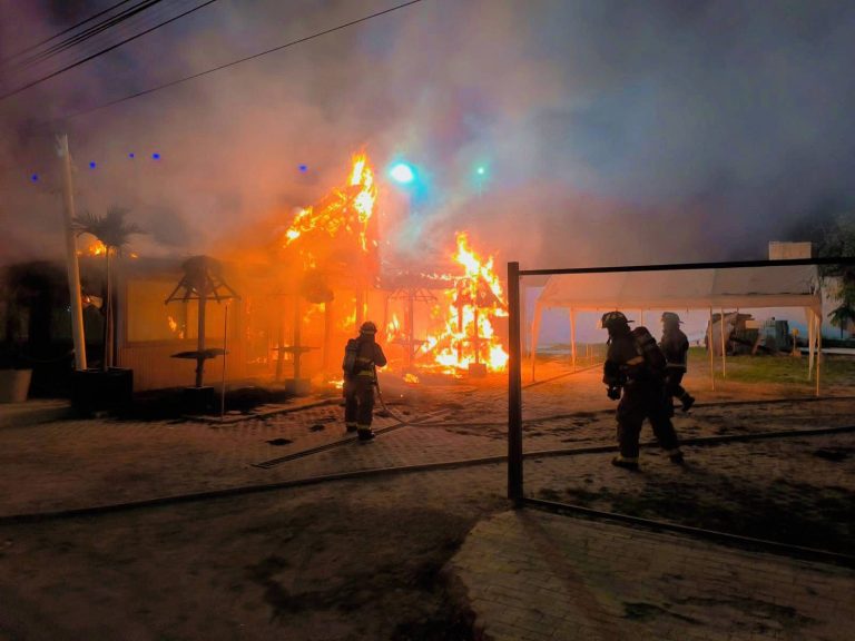 WhatsApp Image 2026-01-30 at 4.07.31 PM