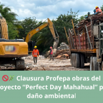 🚫🌿 Clausura Profepa obras del proyecto “Perfect Day Mahahual” por daño ambiental