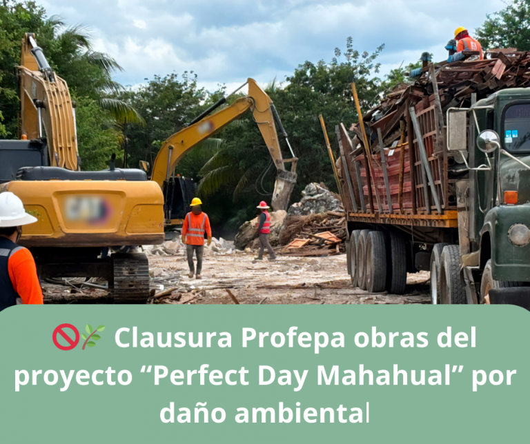 🚫🌿 Clausura Profepa obras del proyecto “Perfect Day Mahahual” por daño ambiental