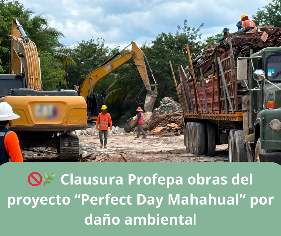🚫🌿 Clausura Profepa obras del proyecto “Perfect Day Mahahual” por daño ambiental