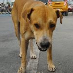 631396447_1479292674198681_2027420538338073815_n