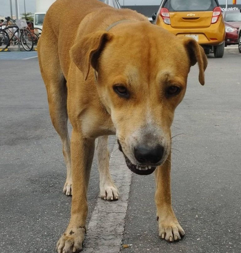 631396447_1479292674198681_2027420538338073815_n