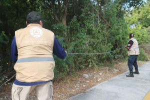 640324488_1689833371987711_4124814223312921520_n