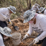 ChatGPT Image 5 feb 2026, 09_50_39 a.m.