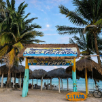 ChatGPT Image 5 feb 2026, 11_36_35 a.m.