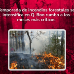 Post Redes Sociales(9)