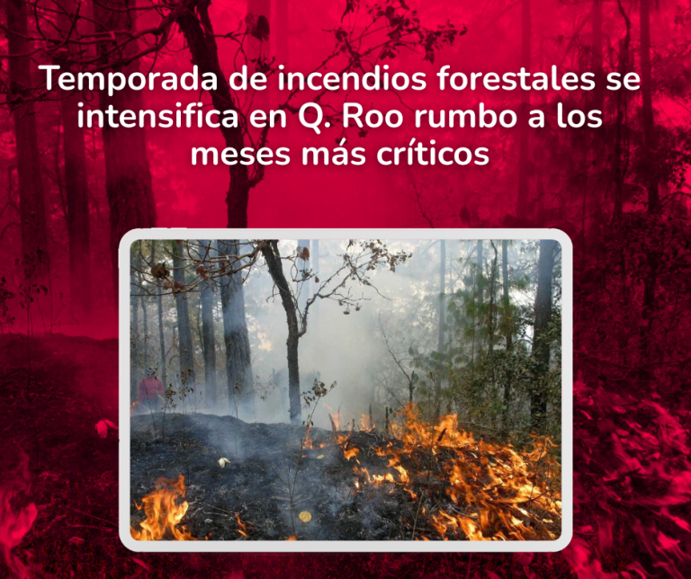 Post Redes Sociales(9)