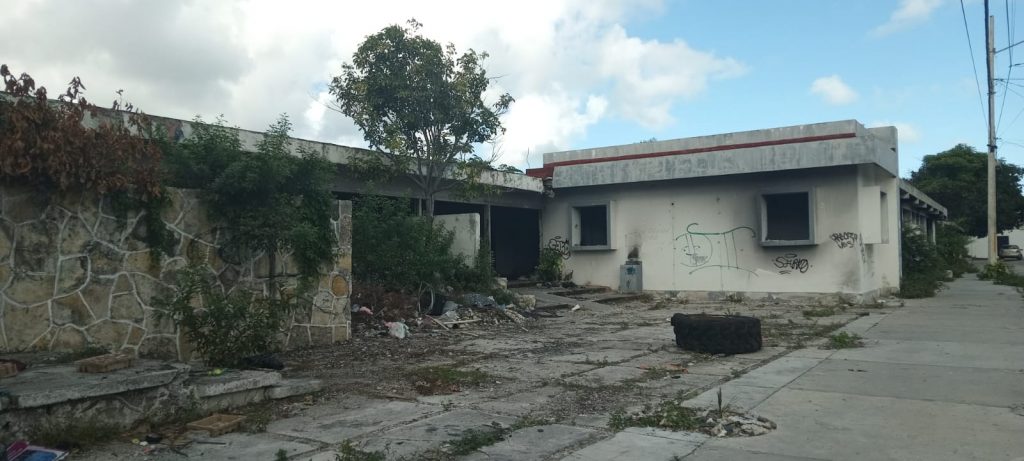 WhatsApp Image 2026-02-03 at 2.03.33 PM(4)