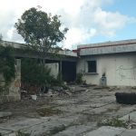 WhatsApp Image 2026-02-03 at 2.03.33 PM(4)