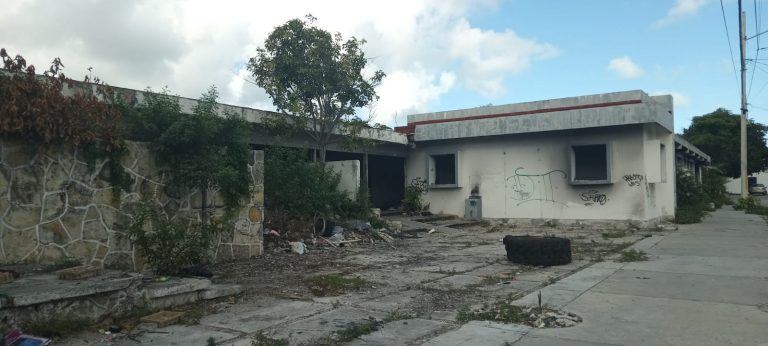 WhatsApp Image 2026-02-03 at 2.03.33 PM(4)