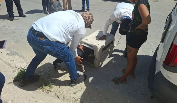 WhatsApp Image 2026-02-11 at 12.29.54 PM