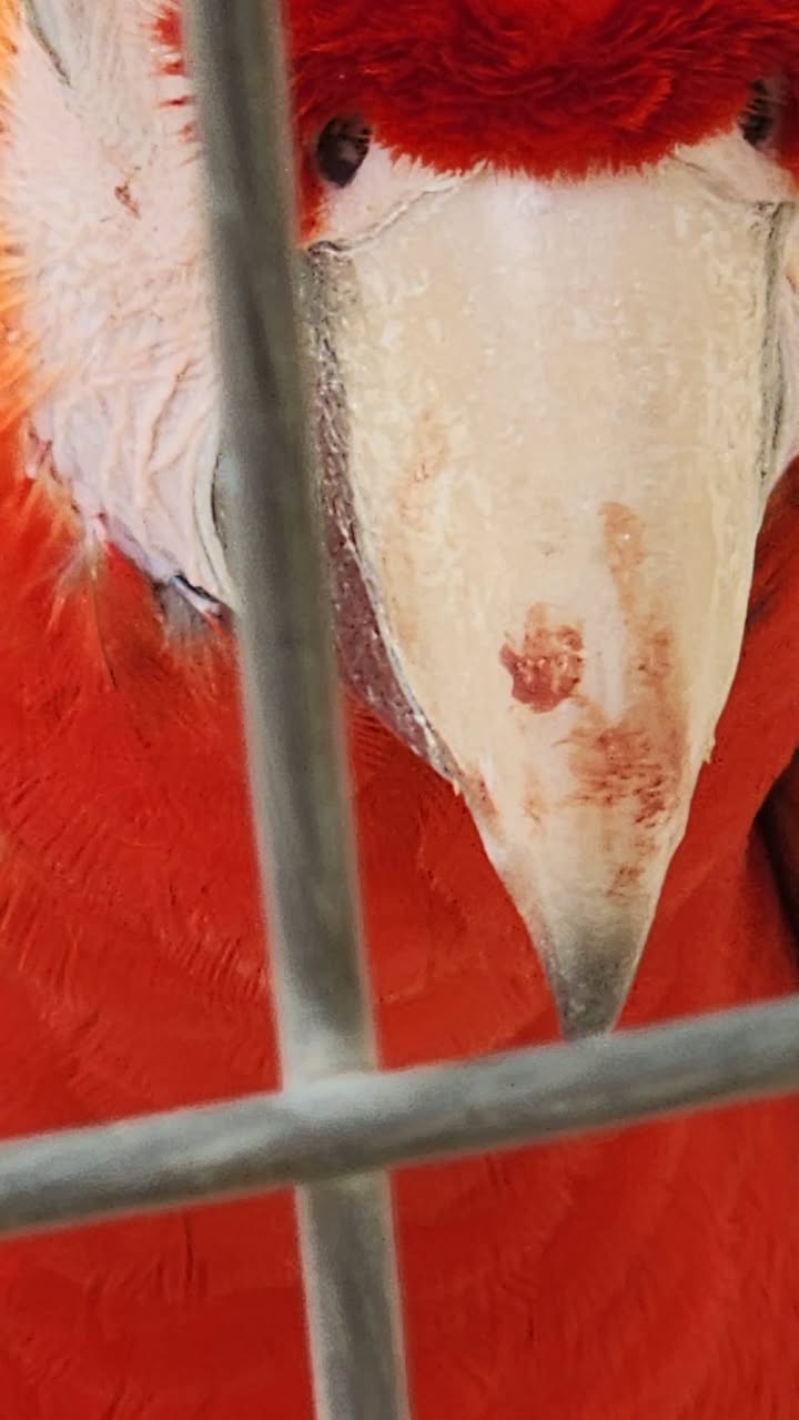 WhatsApp Image 2026-02-24 at 11.04.50 AM