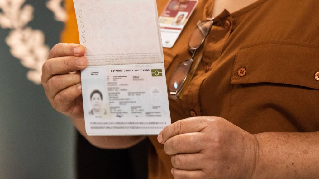 visa-mexicana-electronica