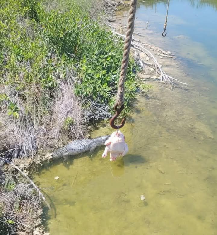 649557550_1510284027769059_3533325639948286166_n