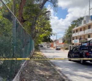 Captura de pantalla 2026-03-03 150317