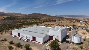 México alcanzó la autosuficiencia en frijol con una producción de 1.2 millones de toneladas, mientras el gobierno analiza ampliar la compra a productores.