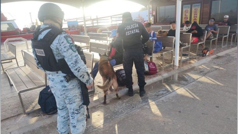 Autoridades estatales y federales implementan operativos de vigilancia en Isla Holbox y Chiquilá para prevenir delitos.