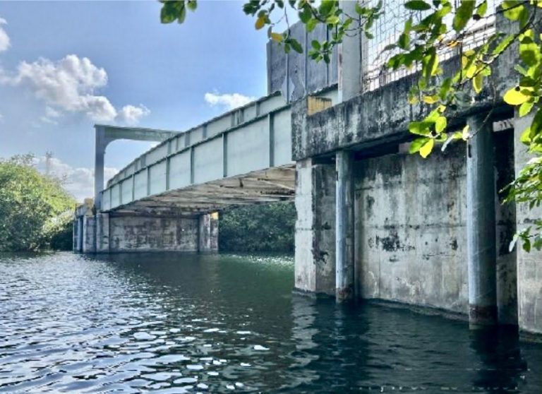 WhatsApp Image 2026-03-09 at 4.30.11 PM