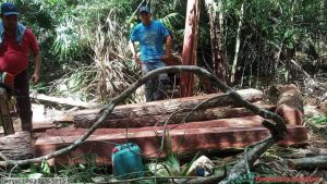 WhatsApp Image 2026-03-16 at 2.06.16 PM