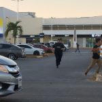 Ataque de abejas africanas deja varios lesionados afuera de Plaza Las Américas de Chetumal; bomberos y cuerpos de emergencia atendieron.