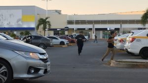 Ataque de abejas africanas deja varios lesionados afuera de Plaza Las Américas de Chetumal; bomberos y cuerpos de emergencia atendieron.