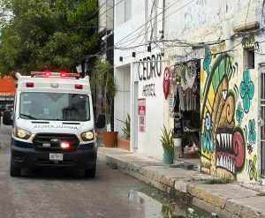 WhatsApp Image 2026-04-02 at 7.01.54 PM