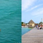 Autoridades mantienen un operativo en Holbox para localizar a un turista desaparecido tras ingresar al mar en una tabla de pádel.