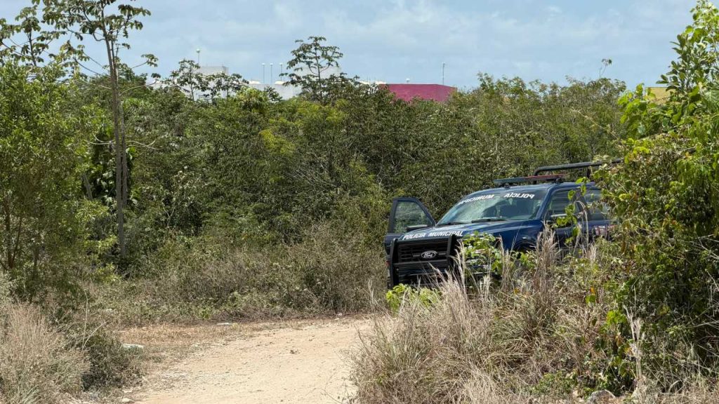 Un cuerpo desmembrado fue hallado dentro de un contenedor en la colonia Cuna Maya, en Cancún; autoridades ya investigan el caso.