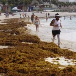 f1280x720-17970_149645_5050